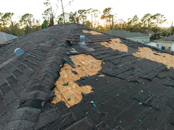 Best Storm Damage Roof Repair  in Valdosta, GA